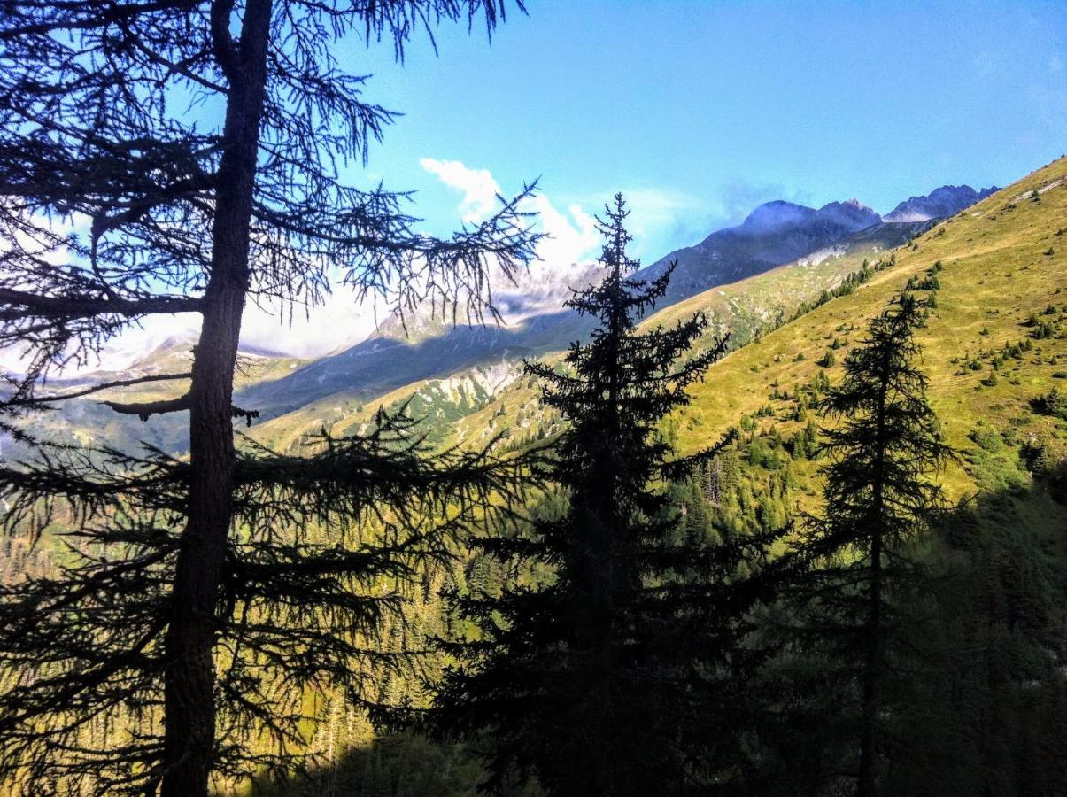 Apartment Cristina - Suedbalkon Mit Bergblick Seefeld in Tirol Exteriör bild